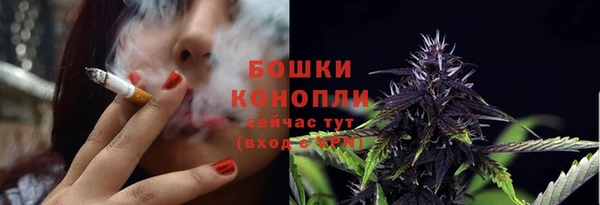 гидра Михайловск