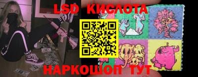ГАЛЛЮЦИНОГЕННЫЕ ГРИБЫ Свободный