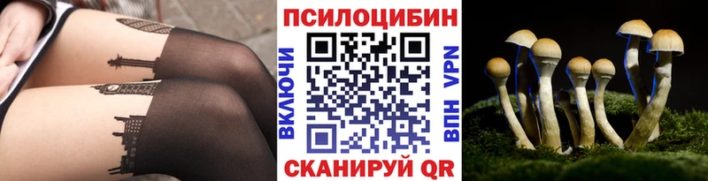 наркотики  KRAKEN зеркало  Псилоцибиновые грибы Psilocybine cubensis  Оренбург 
