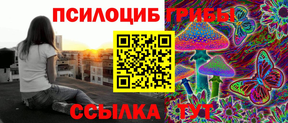 Псилоцибиновые грибы мицелий Оренбург