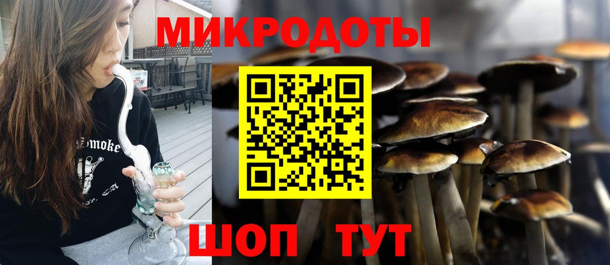 Псилоцибиновые грибы MAGIC MUSHROOMS  Псилоцибиновые грибы Magic Shrooms  Вход с VPN  Оренбург 